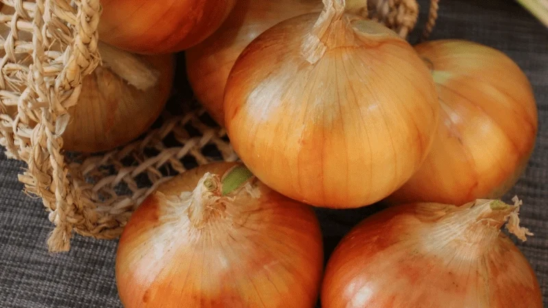 Use a cebola certa na Cozinha – Dicas