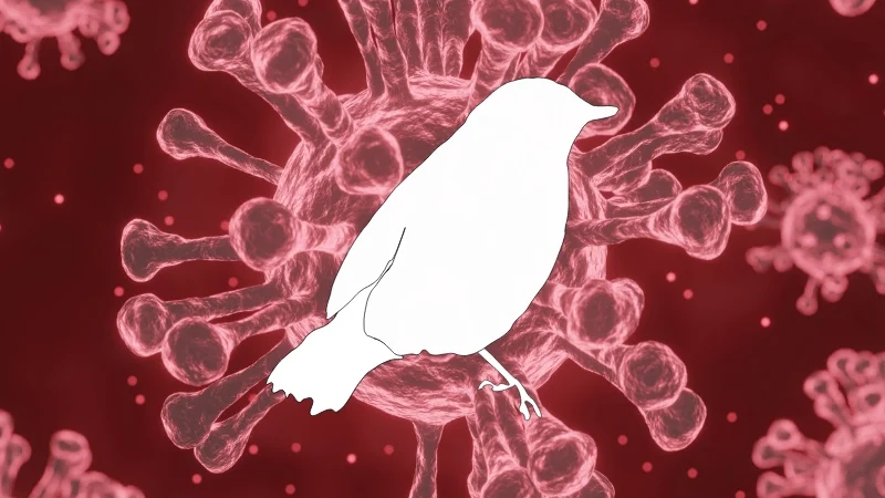 Brasil reforça medidas de prevenção da influenza (Gripe) aviária – H5N1