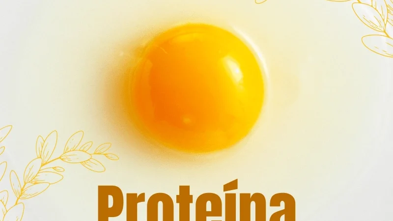 Proteínas – Dicas de Saúde