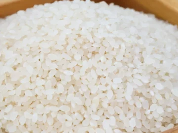 Arroz do dia a dia - Arroz e Risotos - Receitas | Info4Fun Labs