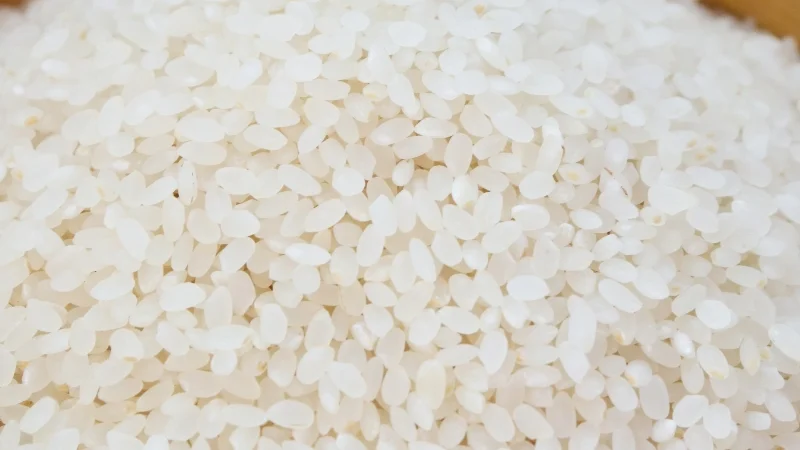 Arroz do dia a dia - Arroz e Risotos - Receitas