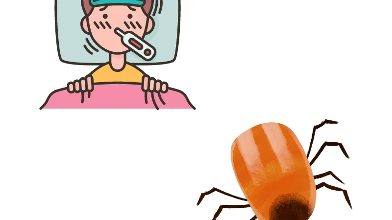 Doenças: Febre Maculosa ou Febre do Carrapato – Fique Ligado!