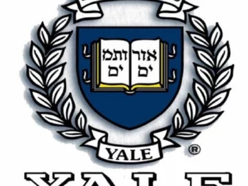 Yale: Connected Leadership - Gratuito - Em Inglês | Info4Fun Labs