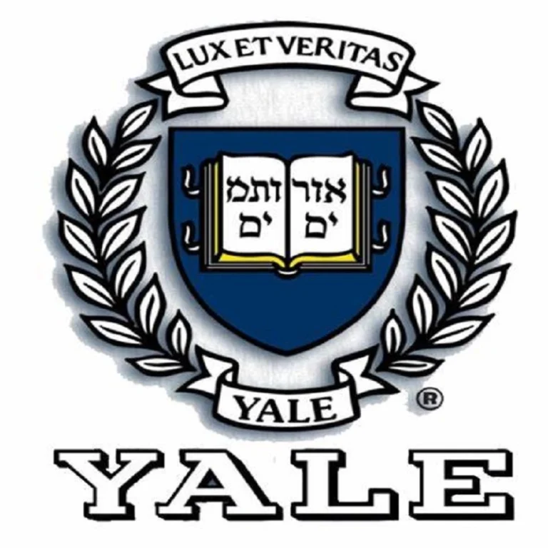 Yale: Connected Leadership - Gratuito - Em Inglês | Info4Fun Labs