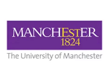 Gerenciando com responsabilidade: Praticando a sustentabilidade, a responsabilidade e a ética - Universidade de Manchester - Gratuito | Info4Fun Labs