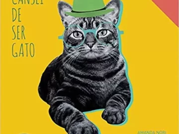 Produtos Cansei de Ser Gato - Influenciador Magalu | Info4Fun Labs