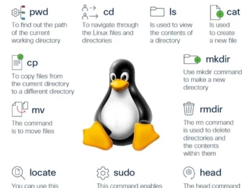 Comandos Linux Básicos que Todo Usuário Deveria Conhecer - Cisco | Info4Fun Labs 2