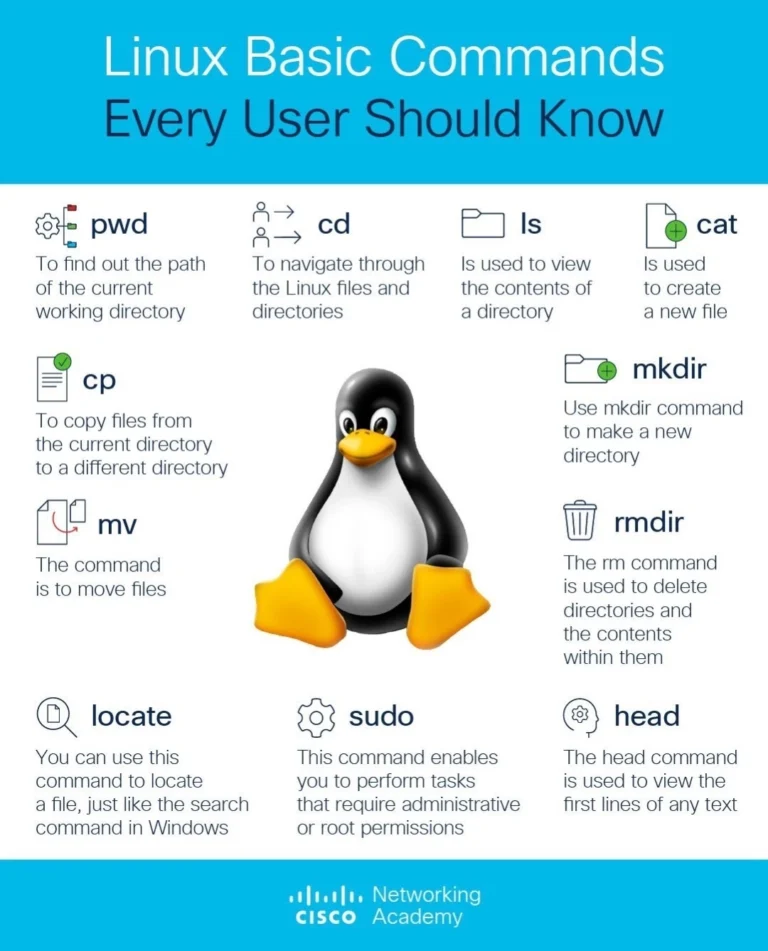 Comandos Linux Básicos que Todo Usuário Deveria Conhecer - Cisco | Info4Fun Labs 2