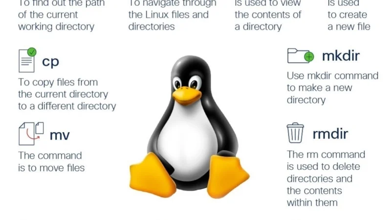 Comandos Linux Básicos que Todo Usuário Deveria Conhecer – Cisco