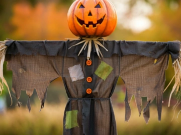 Prepare sua Fantasia mais Macabra e venha Curtir a Noite mais Assustadora do ano!🎃 Aqui no Influenciador Magalu Tem, Aproveite!