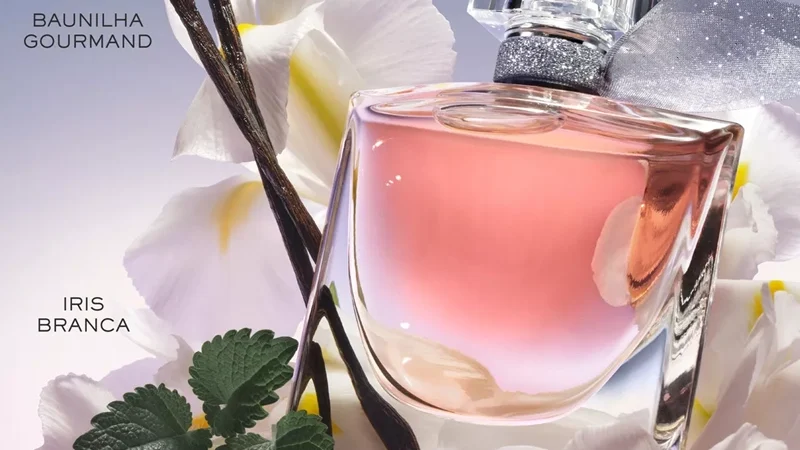 Procurando Perfumes: Grandes Marcas em Promoção!