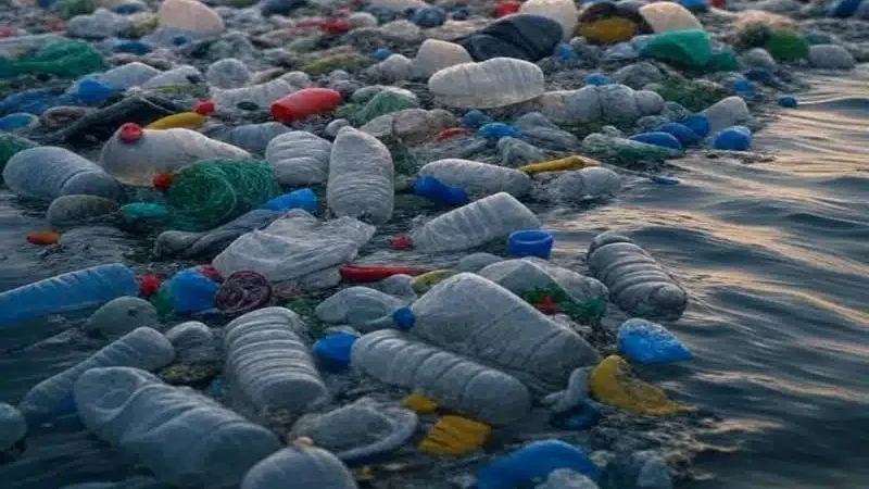 A Grande Ilha de Plástico do Pacífico: Um Monstro Crescendo em Nosso Oceano!