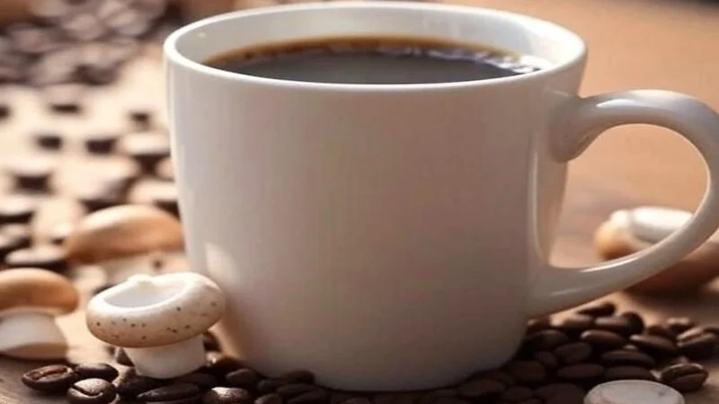 A Febre do Café com Cogumelos chegou ao Brasil: Entenda por que ele está Virando o Queridinho!