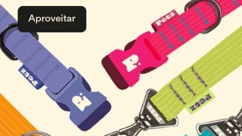 Coleiras, Guias e Peitorais: Segurança e Conforto em Cada Passeio!