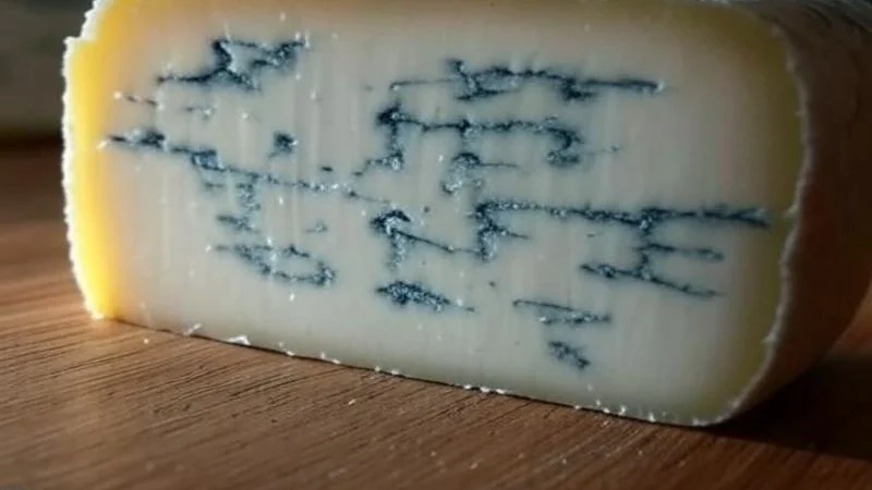 Queijo Gorgonzola fora do Brasil? A Hora do Queijo Azul!