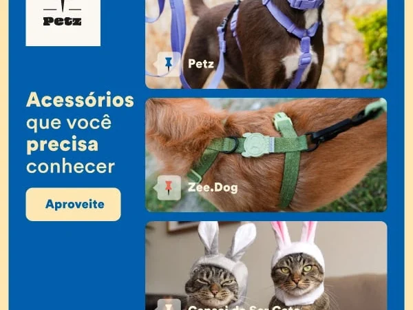 É Hora de passear? Acessórios que Você Precisa Conhecer!
