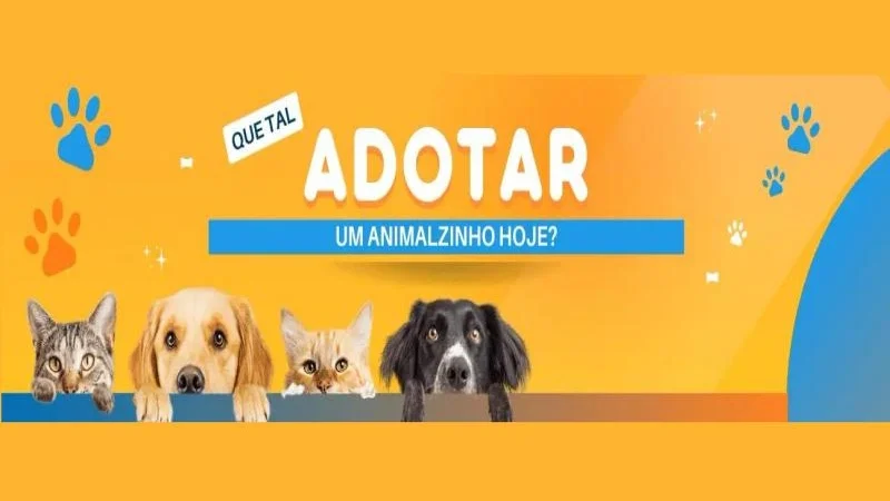 Quer Adotar um Pet? Conheça o Projeto Adotar