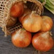 Use a cebola certa na Cozinha - Dicas - Receitas