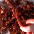 Aperitivo de Bacon Enrolado - Entradas - Receitas