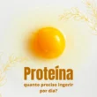 Proteínas - Dicas de Saúde | Info4Fun Labs 