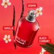 Perfumes: Grandes Marcas em Promoção!