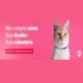 Quer Adotar um Pet? Catland: Adoção de Gatinhos