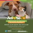 Adoteaí: USAG Costa do Ipiranga (Gravataí - RS) de Portas Abertas