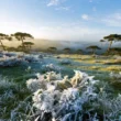 Massa de Ar Polar Traz Queda Acentuada de Temperatura ao Rio Grande do Sul
